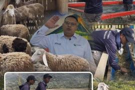 Kebun dan Kolam Gantikan Bom dan Senapan, Eks Napiter Didorong Mandiri, Program Pertanian Jadi Jalan Reintegrasi Sosial