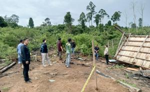 Misteri Dua Ekor Gajah Di Mukomuko, Organ Dalam  Diuji Laboratorium