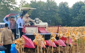  Presiden Republik Indonesia, Prabowo Subianto   menghadiri kegiatan Panen Raya Jagung Serentak Kuartal II