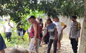 Bhabinkamtibmas Kelurahan Padang Jati Monitoring dan Pengamanan Pemotongan Hewan Kurban Idul Adha 1447 H