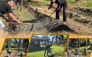 Satbrimob Polda Bengkulu Perkuat Ketahanan Pangan Melalui Perawatan dan Pemupukan Lahan Jagung