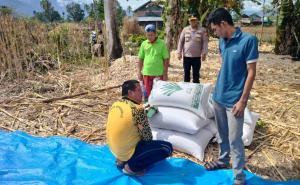 Polda Bengkulu Musnahkan Barang Bukti Ganja Seberat 39,66 Gram 