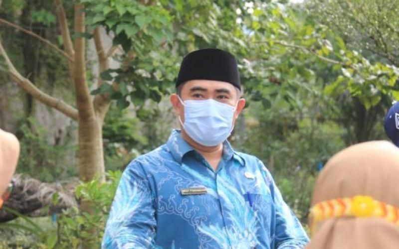 Cuaca Ekstrem, Ini Strategi DLH Terkait Insiden Pohon Tumbang