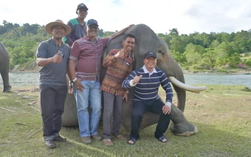 Gubernur Rohidin Dukung Hapus Izin Tambang di TWA Seblat