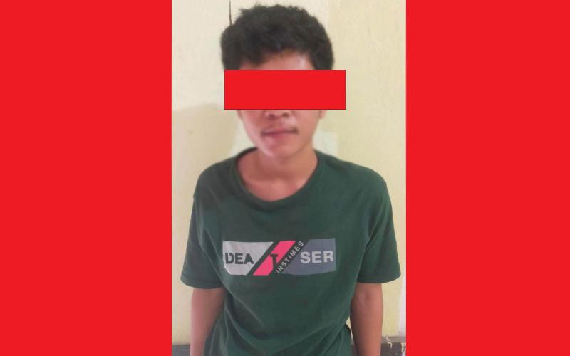 Terlibat Curat, Remaja 17 Tahun Ditangkap Polres Lebong