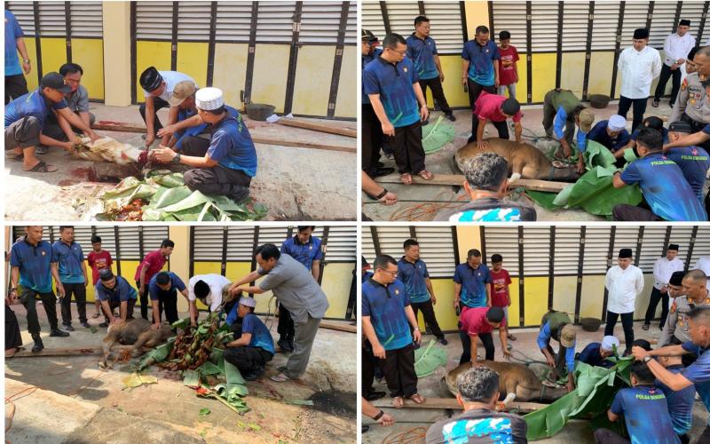 Laksanakan Qurban Presisi, Polresta Bengkulu Potong 3 Ekor Sapi dan 2 Ekor Kambing 