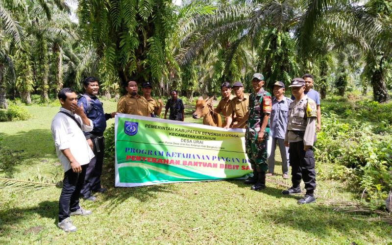 Pak Bhabin Hadiri Penyerahan Sapi  Kelompok Tani Secara Simbolis