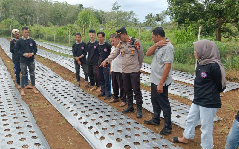 Serap Informasi dari Masyarkat, Kapolsek Padang Jaya Blusukan ke Petani Bawang Merah 