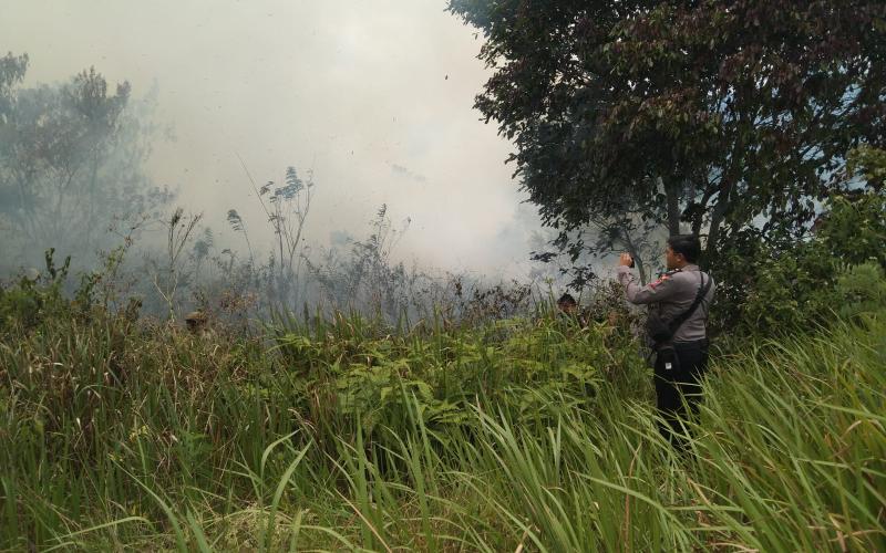 Polisi dan Warga Padamkan Api Karhutla di Rimbo Pengadang