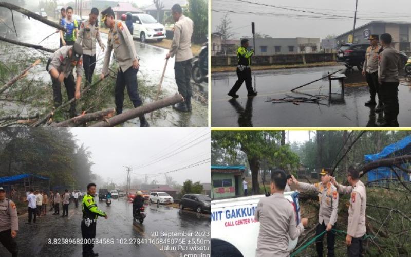 Polisi Evakuasi Pohon Tumbang di Pantai Panjang