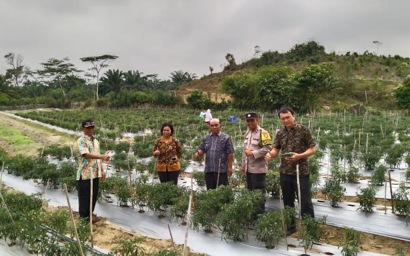 Polri Sahabat Petani, Bhabinkamtias Polsek Ketahun Sambang Warga Binaanya