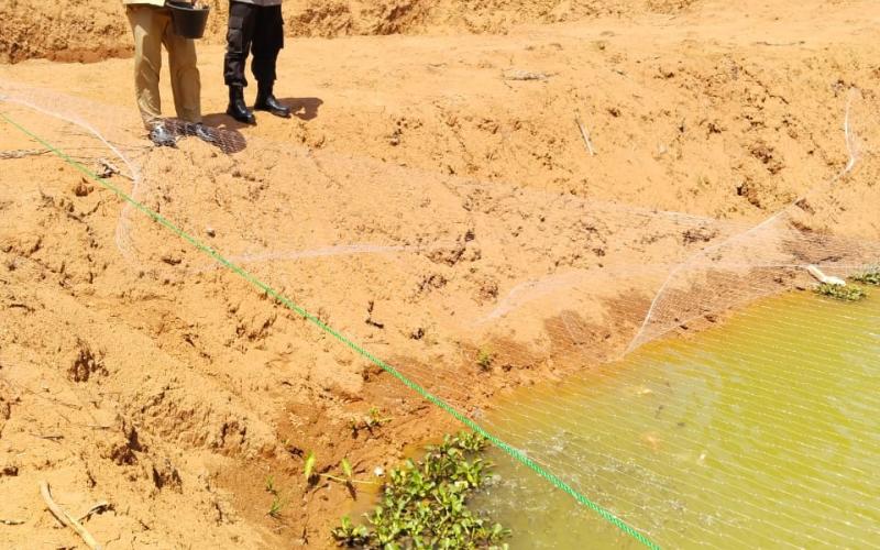 Dukung Ketahanan Pangan, Bhabinkamtibmas Sambangi Kolam Nila dan Gurami
