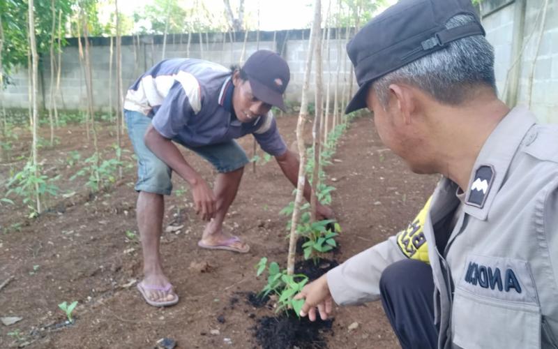 Ketahanan Pangan, Bhabinkamtibmas Polsek Ketahun Sambangi Kebun Warganya