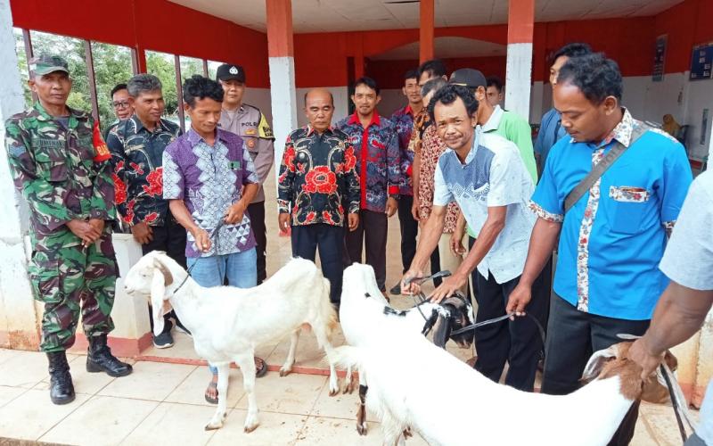 Bhabinkamtibmas Polsek Ketahun Hadiri Penyerahan Ternak Kambing