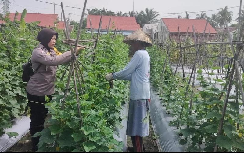 Polsek Kampung Melayu Lakukan Sambang dan Pemantauan Program Ketahanan Pangan di Kelurahan Padang Serai