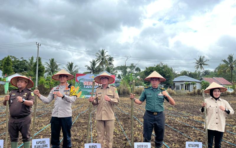 Sukseskan Swasembada Pangan 2025, Polres Rejang Lebong  Bersama Forkofimda Tanam Jagung Serentak di 3 Hektar Lahan