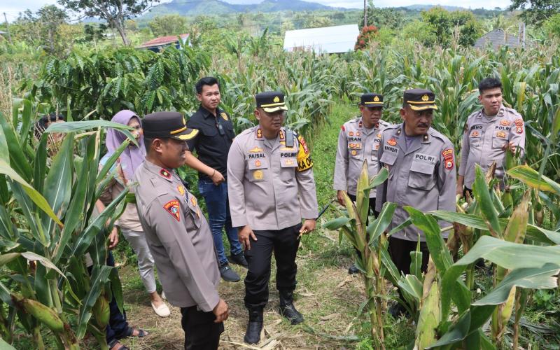 Polres Kepahiang Dukung Ketahanan Pangan Nasional Lewat Program Penanaman Jagung