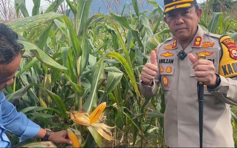 Penanaman Jagung Polres Lebong dan Polsek Jajaran Dukung Program Ketahanan Pangan