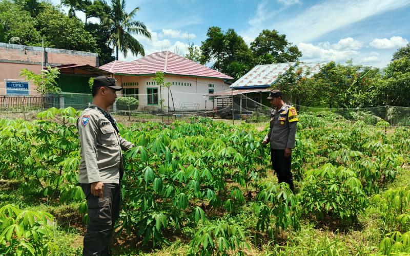 Polsek Taba Penanjung Monitoring Lahan Ketahanan Pangan