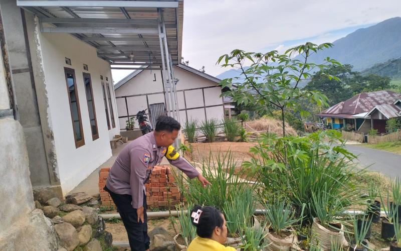 Sambang Ketahanan Pangan, Bhabinkamtibmas Monitoring Tanaman Pangan di Desa Karang Dapo AtasSambang Ketahanan Pangan, Bhabinkamtibmas Monitoring Tanaman Pangan di Desa Karang Dapo Atas