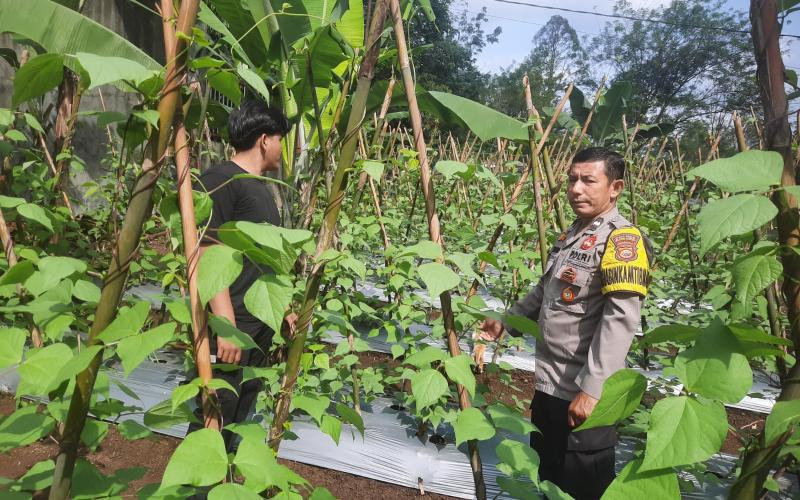 Bhabinkamtibmas Polsek PU. Tanding Sambangi Warga, Dukung Ketahanan Pangan