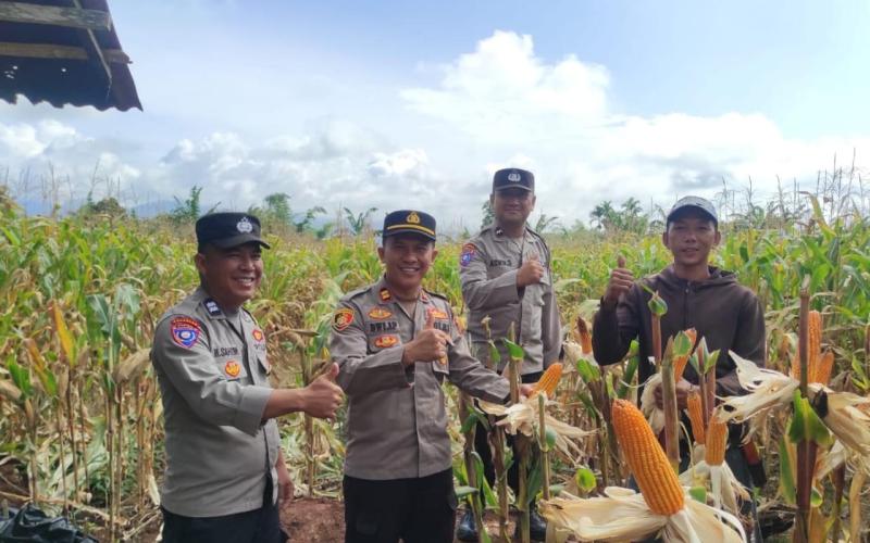 Dukung Ketahanan Pangan, Polsek Kepahiang Lakukan Pengecekan Lahan di Desa Cirebon Baru