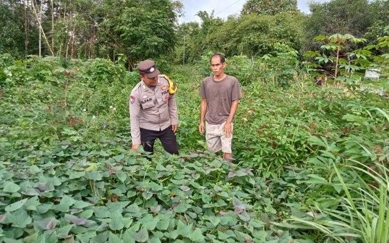 Bhabinkamtibmas Sukaraja Ajak Warga Manfaatkan Pekarangan untuk Ketahanan Pangan