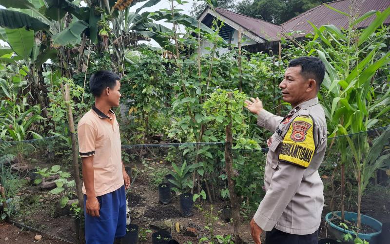Polsek PU. Tanding Dukung Ketahanan Pangan, Bhabinkamtibmas Ajak Warga Manfaatkan Pekarangan