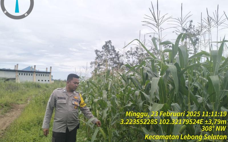 Personel Polsek Lebong Selatan Monitoring Pekarangan Pangan BergiziPersonel Polsek Lebong Selatan Monitoring Pekarangan Pangan Bergizi