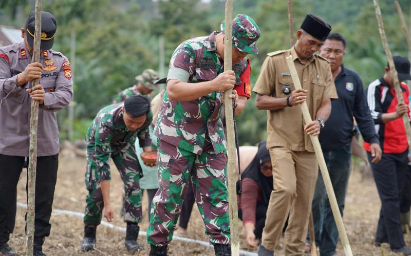 Sukseskan Program Unggulan KASAD, Dansatgas TMMD Ke-124 Kodim 0408/BS Tanam Jagung Bersama