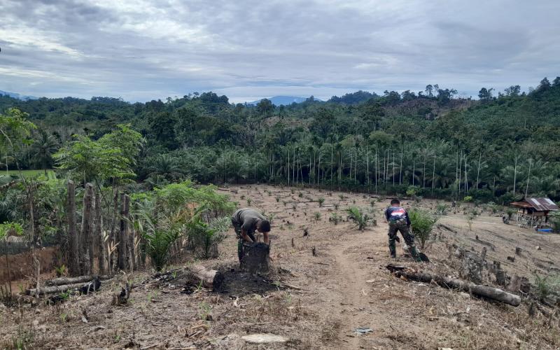 Satgas TMMD Ke-124 Kodim 0408/BS Bantu Warga Bersihkan Kebun Jagung