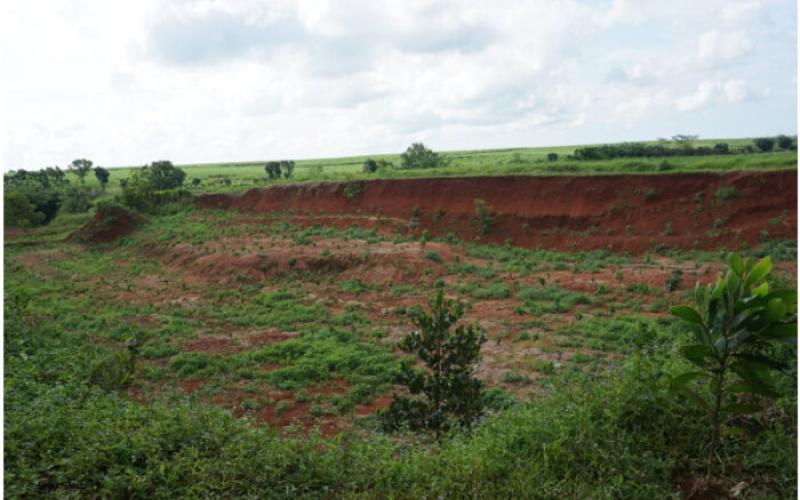 Penghijauan Berbasis Komunitas di Desa Koranji, Subang