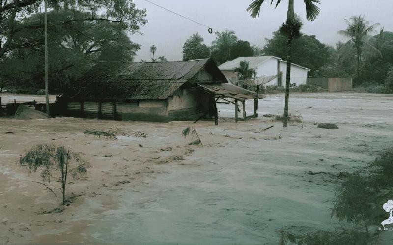 Deforestasi di Sumatra Memicu Kayu Hanyut Saat Banjir, LindungiHutan Serukan Reforestasi Hulu DAS