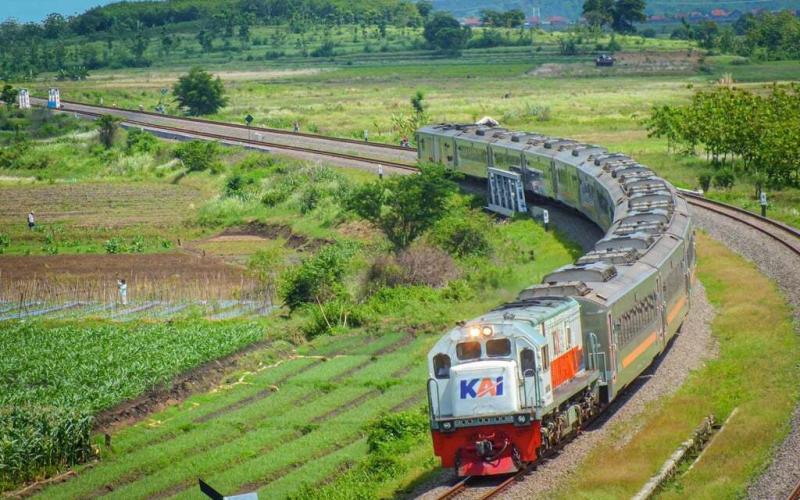 KAI Daop 1 Jakarta Catat Enam Kejadian Pohon Tumbang Sepanjang 2025, Seluruhnya Berhasil Ditangani dengan Cepat