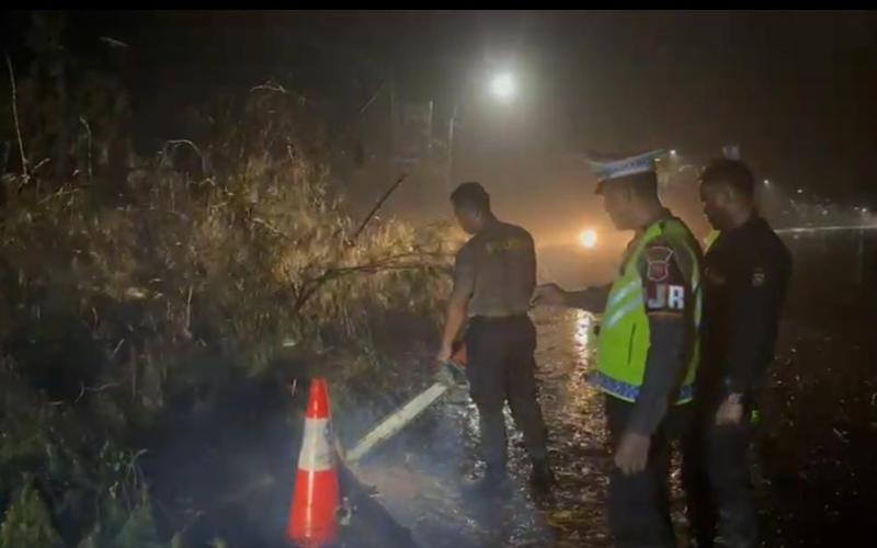 Personel Ditlantas dan Ditsamapta Polda Bengkulu Laksanakan Evakuasi Pohon Tumbang di Jalan Raya Pasir Putih