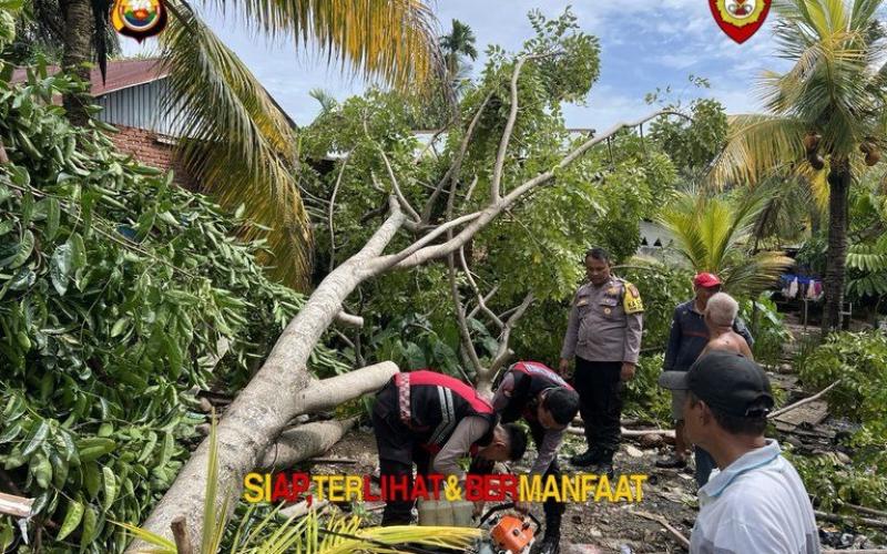 Personel Samapta Polda Bengkulu Gerak Cepat Evakuasi Pohon Tumbang di Rumah Warga