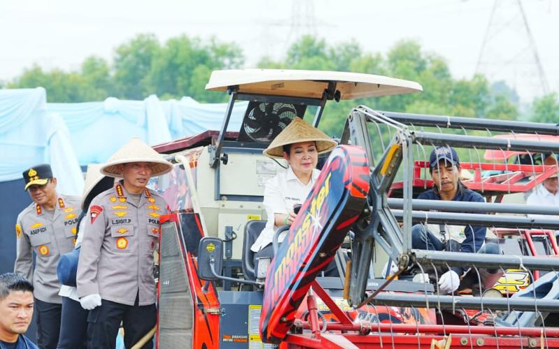Kapolri-Ketua Komisi IV Pimpin Panen Raya Jagung Serentak, Wujud Nyata Dukung Ketahanan Pangan Nasional