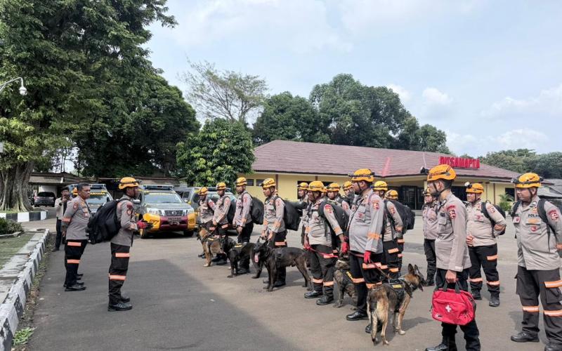 Den K9 Sar Ditpolsatwa Korsabhara Baharkam Polri Perkuat Penanganan Bencana Longsor Di Pasirlangu