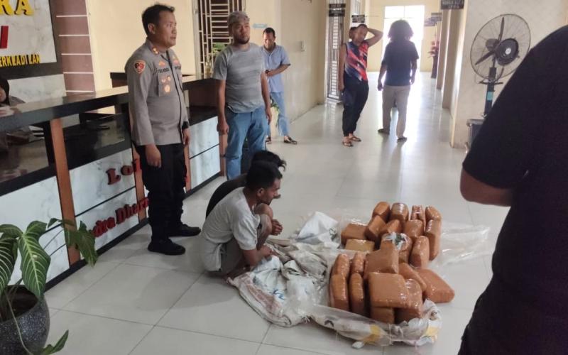 Ditengah pemulihan pasca banjir, Polres Aceh Tenggara berhasil Gagalkan Peredaran 50,7 Kg Ganja