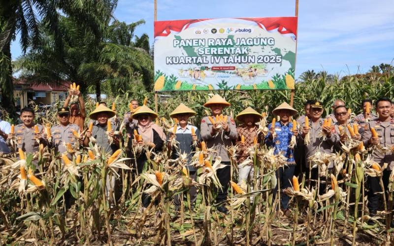 Polres Bengkulu Selatan Gelar Panen Raya Jagung Serentak Kuartal IV, Dukung Swasembada Pangan 2025