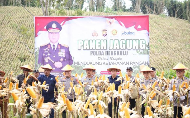 Kapolda Bengkulu Pimpin Panen Raya Jagung di Kepahiang, Perkuat Komitmen Ketahanan Pangan