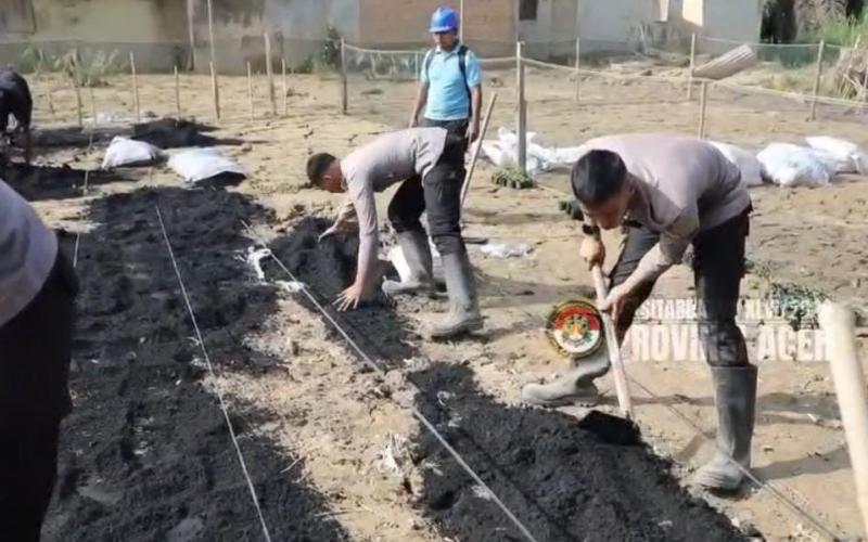 Taruna Akpol Pulihkan Ketahanan Pangan dan UMKM Warga Aceh Tamiang Lewat Pekarangan Pangan Lestari