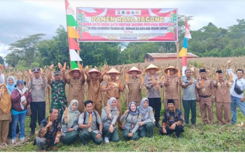 Panen Raya Jagung Sumberejo Transad, Sinergi Polri–Masyarakat Antarkan Juara SADESAHE dan Perkuat Ketahanan Pangan Bengkulu