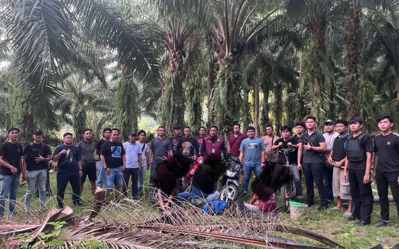Polres Kaur Gerebek Judi Sabung Ayam dan Dadu, Tiga Pelaku Diamankan