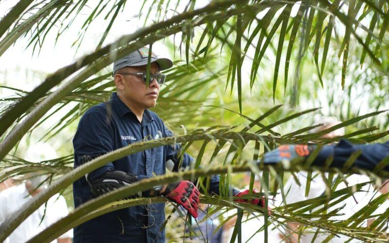 Holding Perkebunan Nusantara Siaga Hadapi Kemarau, PalmCo Perkuat Deteksi Dini Karhutla dan Strategi Agronomi