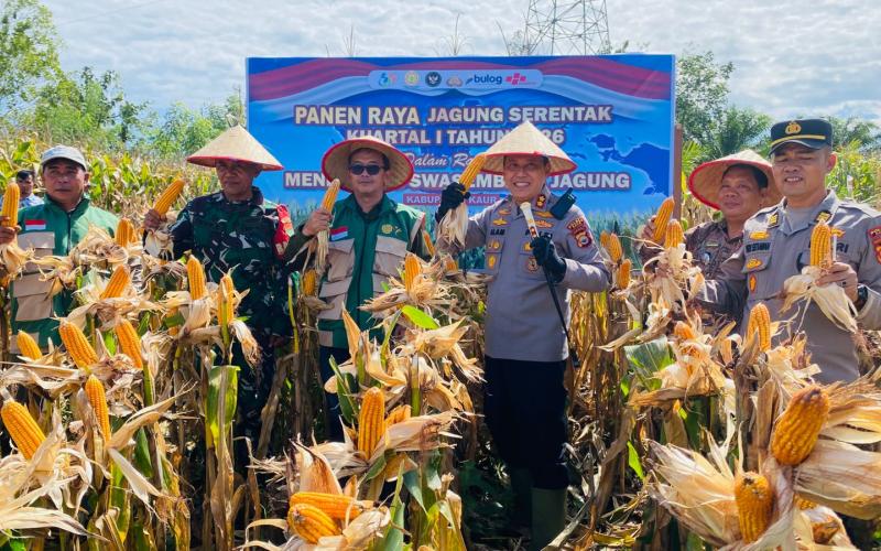 Polres Kaur Hadiri Panen Raya Jagung, Kapolres Apresiasi Peran Petani Dukung Swasembada Pangan