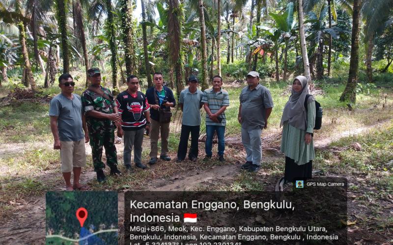 Hilirisasi Kelapa Dalam Buka Peluang Ekonomi Baru di Enggano