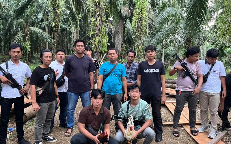 Sat Reskrim Polres Kaur Gerebek Judi Sabung Ayam dan Dadu di Tanjung Kemuning