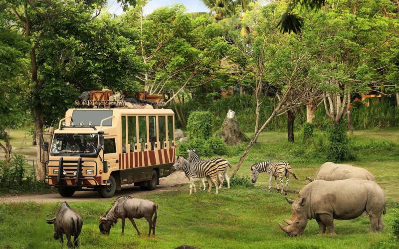 Taman Safari Indonesia Siap Dukung Transformasi Kebun Binatang Bandung sebagai Lembaga Konservasi Modern