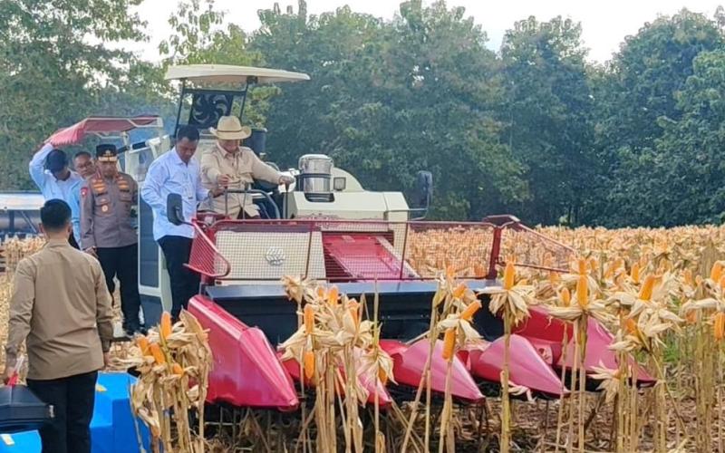  Presiden Republik Indonesia, Prabowo Subianto   menghadiri kegiatan Panen Raya Jagung Serentak Kuartal II